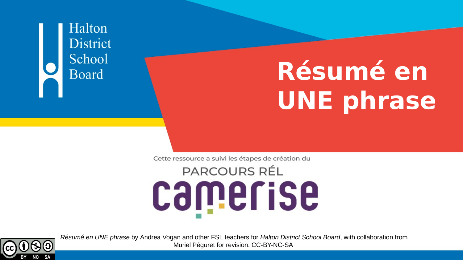 Organisateur graphique : Résumé en UNE phrase