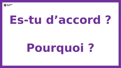 Activité : donner son opinion